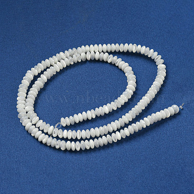 Natural Trochus Shell Beads Strands(SSHEL-H072-11)-2