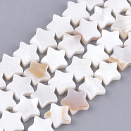 Natural Freshwater Shell Beads Strands, Star, Creamy White, 9.5x10x3mm, Hole: 1mm, about 40pcs/strand, 13.39 inch(X-SHEL-Q021-07)
