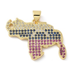 Brass Micro Pave Cubic Zirconia Pendants, Map Charms, Lead Free & Cadmium Free, Long-Lasting Plated, Real 18K Gold Plated, 19x29x2mm, Hole: 4x3.5mm(KK-K298-52G)