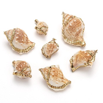 Natural Spiral Shell Pendants, Mixed Shapes, 23~86x14~42x12~30mm, Hole: 3~4mm