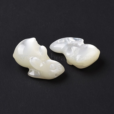 Natural White Shell Beads(BSHE-H016-02)-4