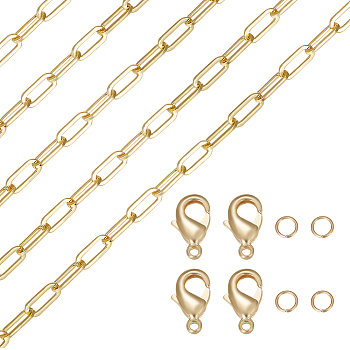DIY Chain Bracelet Necklace Making Kit, Including Brass Paperclip Chains & Lobster Claw Clasps, 304 Stainless Steel Jump Rings, Golden, Chain: 2M/box