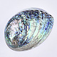 Natural Abalone Shell/Paua Shell Display Decoration(SSHEL-N0334-01)-2