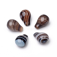 Natural Banded Agate/Striped Agate Beads, Half Drilled, Dyed & Heated, Teardrop, 18.5~19x12.5~13x10.5mm, Hole: 0.8~1mm(X-G-L514-002C)