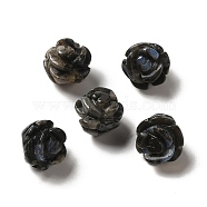 Natural Llanite Carved Flower Beads, Rose, 8.5~10x10x10.5mm, Hole: 1mm(G-O156-B-30)