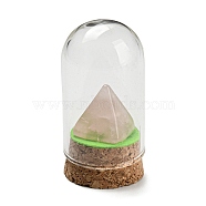 Natural Rose Quartz Pyramid Display Decoration with Glass Dome Cloche Cover, Cork Base Bell Jar Ornaments for Home Decoration, 30x58.5~60mm(DJEW-B009-01D)