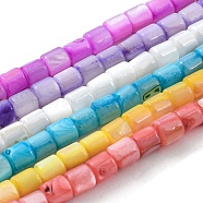 Natural Freshwater Shell Beads Strands, Dyed, Column, Mixed Color, 4~5.5x5mm, Hole: 0.6mm, about 74~75pcs/strand, 14.76~14.96 inch(37.5~38cm)(SHEL-F008-04)