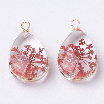Glass Pendants, with Dried Flower Inside & Brass Findings, teardrop, Golden, Red, 22~24x13x8mm, Hole: 2mm