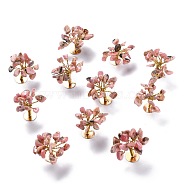 Natural Rhodonite Chips Display Decorations, with Golden Plated Brass Wires, Lucky Tree, 24~30x28~32x24~32mm(G-Z016-13G)