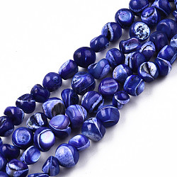 Natural Trochid Shell/Trochus Shell Beads Strands, Dyed, Nuggets, Medium Blue, 7~12x5~10x4~8mm, Hole: 1mm, about 60~64pcs/strand, 15.16 inch~15.75 inch(38.5~40cm)(SSHEL-N032-48-A02)