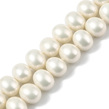 Oval Shell Pearl Beads Strands, Polished, White, 10.5x12x10.5mm, Hole: 0.7mm, about 49pcs/strand, 16.34''(41.5cm)