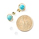Synthetic Turquoise Round Beads Stud Earrings for Girl Women(EJEW-JE04666-05)-4