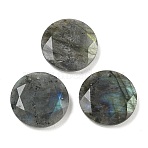 Natural Labradorite Pendants, Flat Round Faceted Charms, 25x5mm, Hole: 1.4~1.6mm(G-K381-29)