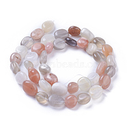 Natural Multi-Moonstone Beads Strands, Tumbled Stone, Nuggets, 8~12x8~10mm, Hole: 1mm, about 41pcs/strand, 15.7 inch~16 inch(40~40.5cm)(G-P433-15)