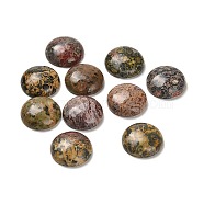 Natural Leopard Skin Jasper Cabochons, Half Round/Dome, 20x6.5mm(G-E184-01)