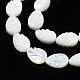 Natural Trochid Shell/Trochus Shell Beads Strands(SSHEL-N034-135A-01)-3
