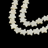 Star Shape Natural Sea Shell Beads Strands, 14~15x15~16x2.5~4mm, Hole: 1mm, about 30pcs/strand, 15.7(SSHEL-F290-18B)