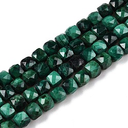 Natural Malachite Beads Strands, Faceted, Cube, 4~5x4~5x4~5mm, Hole: 0.8mm, about 92~105pcs/strand, 14.96~15.35 inch(38~39cm)(G-N342-119)