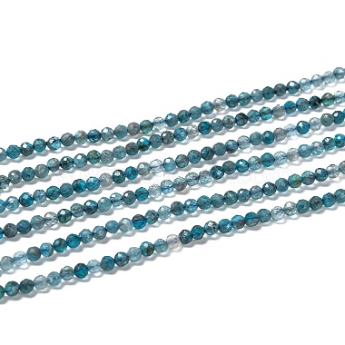 Natural Apatite Beads Strands(G-K185-02-3mm-01)-3