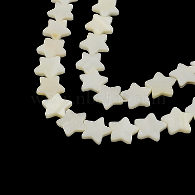 15mm Star Other Sea Shell Beads
