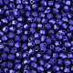 ベーキングペイント パールガラス シードビーズ(SEED-T007-21A-17)-2