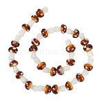 1Strand Handmade Lampwork Beads Strands, Mushroom, Peru, 11.5~14.5x9~11mm, Hole: 1mm, about 25pc/strand, 13.54 inch(34.4cm), 1 strand/set(LAMP-TA0001-84H)