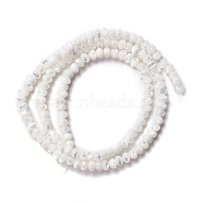 Natural Trochid Shell/Trochus Shell Beads Strands, Abacus Beads, Rondelle, Seashell Color, 3x4~4.5mm, Hole: 0.9mm, about 135pcs/strand, 15.94 inch(40.5cm)(SSHEL-O001-24B-02)