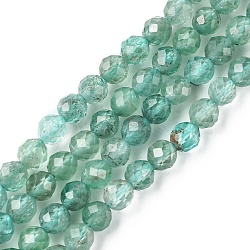 Natural Apatite Beads Strands, Faceted, Round, 4mm, Hole: 0.8mm, about 91pcs/strand, 15.24~15.35 inch(38.7~39cm)(G-F748-J01-02)