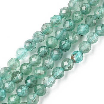 Natural Apatite Beads Strands, Faceted, Round, 4~4.5mm, Hole: 0.8mm, about 91pcs/strand, 15.24~15.35 inch(38.7~39cm)