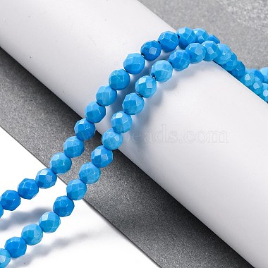 Natural Howlite Beads Strands(G-C025-02C-10)-2