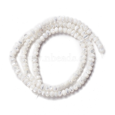 Natural Trochid Shell/Trochus Shell Beads Strands(SSHEL-O001-24B-02)-1