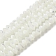 Natural Trochus Shell Rondelle Beads Strands(SSHEL-H072-01B)-1