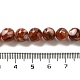 Freshwater Shell Beads Strands(BSHE-L039-08B-08)-4