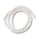 Natural Trochid Shell/Trochus Shell Beads Strands(SSHEL-O001-24B-02)-1
