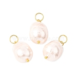Electroplated Glass Imitation Pearl Pendants, Nuggets, with 304 Stainless Steel Open Jump Rings, Seashell Color, 19.5x12~12.5mm, Hole: 5mm(PALLOY-JF04579-02)