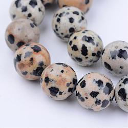 Natural Dalmatian Jasper Beads Strands, Round, 4~4.5mm, Hole: 0.8mm, about 96pcs/strand, 15.5 inch(G-Q462-4mm-30)