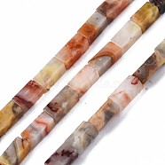 Natural Crazy Lace Agate Beads Strands, Cuboid, 4~5x2x2mm, Hole: 0.8mm, about 82~84pcs/strand, 14.76~15.15 inch(37.5~38.5cm)(G-S299-142)