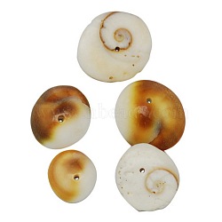 Natural Shiva Eye Shell Beads, Dyed, Goldenrod, Size: about 12~19mm long, 12~17mm wide, 4~7mm thick, hole: 1mm, about 20pcs/50g(X-BSHE-S113)