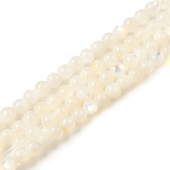Natural White Shell Beads Strands, Round, Floral White, 2.5mm, Hole: 1mm, about 155pcs/strand, 14.61''(37.1cm)