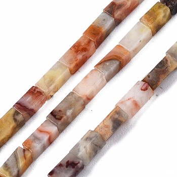 Natural Crazy Lace Agate Beads Strands, Cuboid, 4~5x2x2mm, Hole: 0.8mm, about 82~84pcs/strand, 14.76~15.15 inch(37.5~38.5cm)