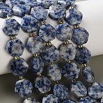 Natural Blue Spot Jasper Beads Strands, Faceted Hexagonal Cut, Hexagon, with Seed Beads, 12x13x5mm, Hole: 1mm, about 27pcs/strand, 14.88~15.43 inch(37.8~39.2cm)(G-H344-B02-01)