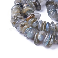 Natural Labradorite Beads Strands, Chips, 4~12x3~8x1~6mm, Hole: 1mm, about 14.9 inch~16.1 inch(38~41cm)(X-G-I225-15A)