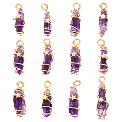 12Pcs Natural Gemstone Copper Wire Wrapped Pendants, Nuggets Charm, Golden, 24~44x8~15x5~15.5mm, Hole: 2.5~4mm(PALLOY-FG0001-02B)