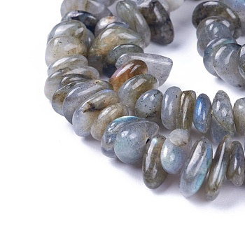 Natural Labradorite Beads Strands, Chips, 4~12x3~8x1~6mm, Hole: 1mm, about 14.9 inch~16.1 inch(38~41cm)