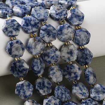 Natural Blue Spot Jasper Beads Strands, Faceted Hexagonal Cut, Hexagon, with Seed Beads, 12x13x5mm, Hole: 1mm, about 27pcs/strand, 14.88~15.43 inch(37.8~39.2cm)