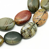 Natural Polychrome Jasper/Picasso Stone/Picasso Jasper Beads Strands, Oval, 18x13x6mm, Hole: 1~2mm, about 22pcs/strand, 15.7 inch(G-Q948-83-13x18)