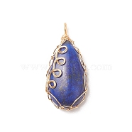 Natural Lapis Lazuli Copper Wire Wrapped Pendants, Teardrop Charms, Golden, 36x17x8mm, Hole: 3x2mm(PALLOY-JF02016-01)