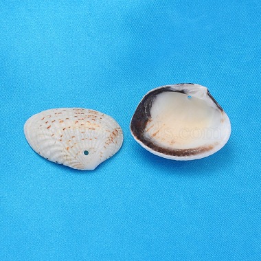 Perles en coquillage naturel(PTS022Y)-2