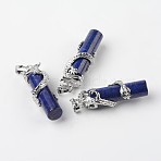 Tube Natural Lapis Lazuli Pendants, with Dragon Brass Findings, Platinum, 48x15x10mm, Hole: 7x5mm(X-G-L455-H10)