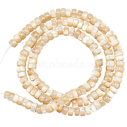 1 Strand Natural Trochid Shell/Trochus Shell Beads Strands, Flat Round/Disc, Heishi Beads, BurlyWood, 4x2mm, Hole: 0.7mm, about 196~197pcs/strand, 15.75 inch(40cm)(BSHE-NB0001-18)